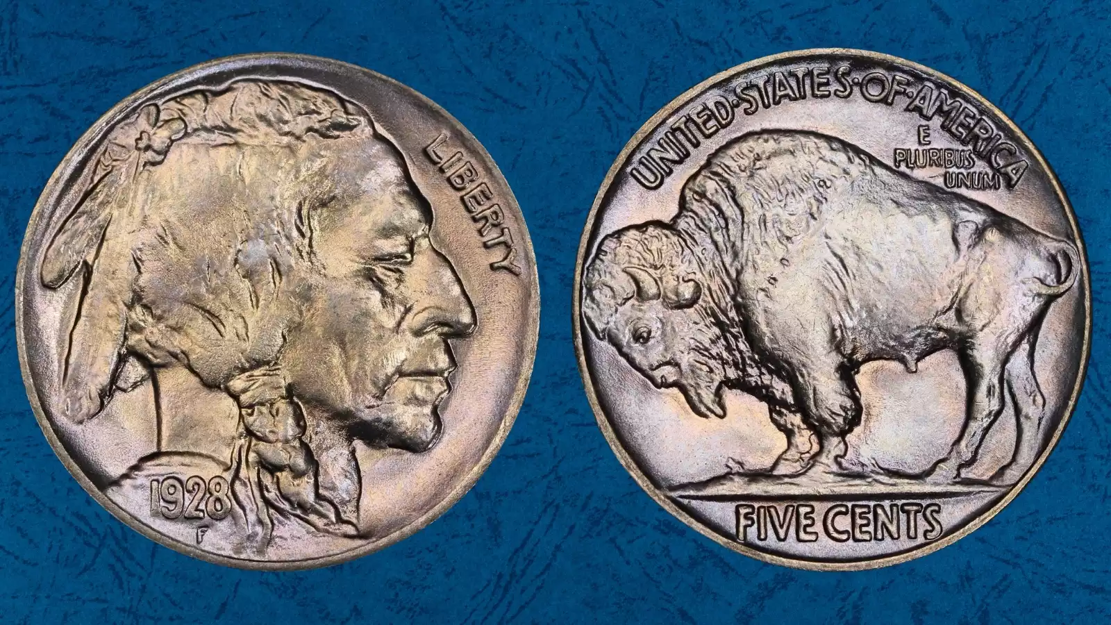 Group of 1928 Buffalo Nickels from Philadelphia, Denver, and San Francisco mints displayed together showing all three mint varieties